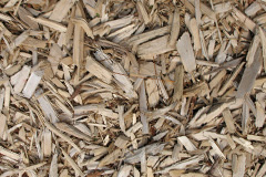 biomass boilers Iwade